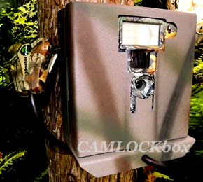Moultrie White Flash Security Box