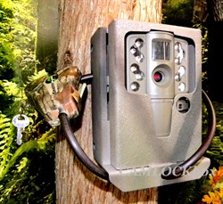 Moultrie A-20 A-20i Security Box