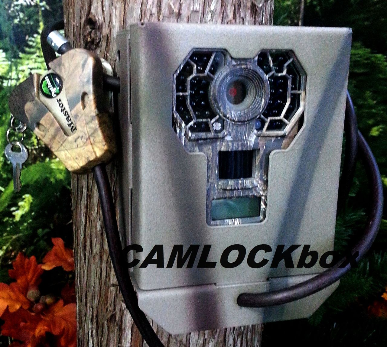 1003574 Stealth Cam Security/Bear Box for GX Series