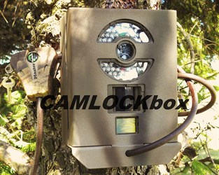 Stealth Cam Delta 8 STC-Q8X Security Box-1