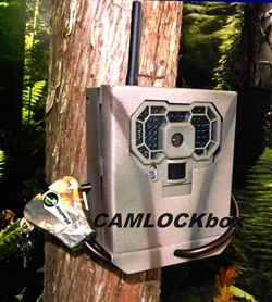 Box Only Camlock Stealth Cam DS4K Max Security Box 