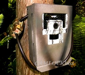 USA Trail Cams Recruit Security Box