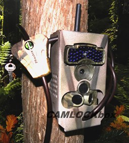 LTL Acorn LTL-5310 Scouting Camera